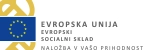 Logo evropska unija socialni sklad